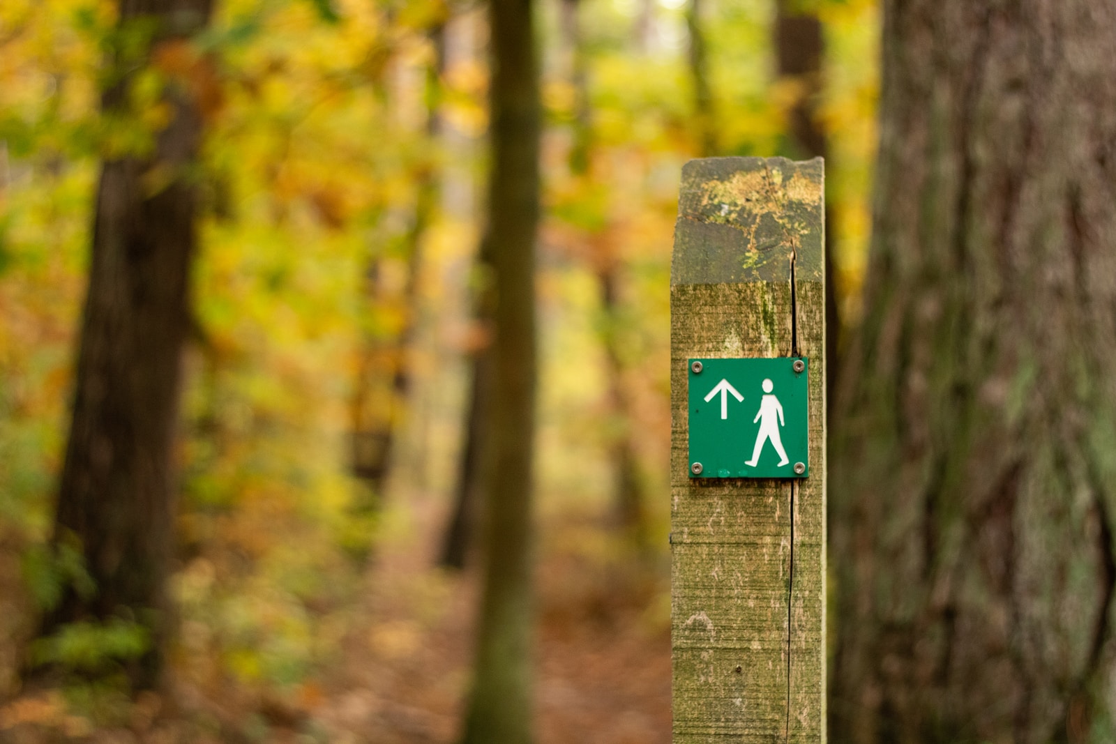 Trail marker with standing walking person icon.